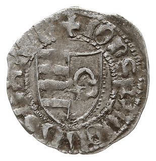 dinar, Aw: Tarcza herbowa, IONS RADOLUS UAIUA, Rw: Orzeł stojący w lewo na hełmie z głową do tyłu, IONS RADOLUS, MBR 53, srebro 0.53 g
