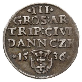 trojak 1536, Gdańsk, odmiana z węższą głową króla, końcówka napisu na awersie PRVSS, Iger G.36.2.d (R1),  CNG 70.I.b