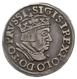 trojak 1536, Gdańsk, odmiana z węższą głową króla, końcówka napisu na awersie PRVSSI, Iger G.36.2.j (R1),  CNG 70.I.d