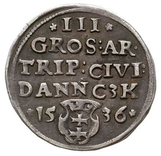 trojak 1536, Gdańsk, odmiana z węższą głową króla, końcówka napisu na awersie PRVSSI, Iger G.36.2.j (R1),  CNG 70.I.d