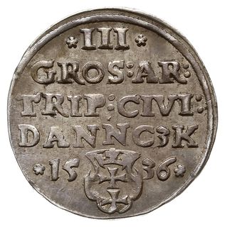 trojak 1536, Gdańsk, odmiana z węższą głową król