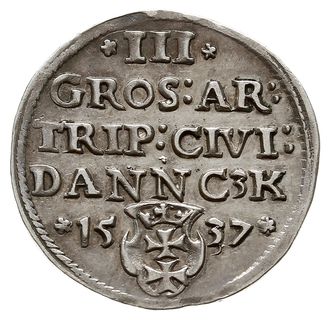 trojak 1537, Gdańsk, odmiana z końcówką napisu DANNC3K, Iger G.37.1.b (R1), CNG 70.II.a resztki  grynszpanu na awersie