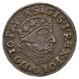 trojak 1538, Gdańsk, końcówka napisu na awersie 