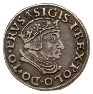 trojak 1538, Gdańsk, końcówka napisu na awersie PRVS, interpunkcja na awersie w postaci krzyżyków a na  rewersie dwukropków, Iger G.38.1.c (R1), CNG 71.II.a