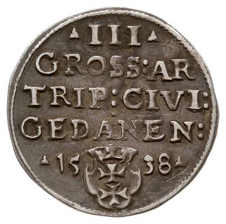 trojak 1538, Gdańsk, końcówka napisu na awersie PRVS, interpunkcja na awersie w postaci krzyżyków a na  rewersie dwukropków, Iger G.38.1.c (R1), CNG 71.II.a