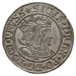 grosz 1533, Toruń, miecz trzymany w łapie po lew
