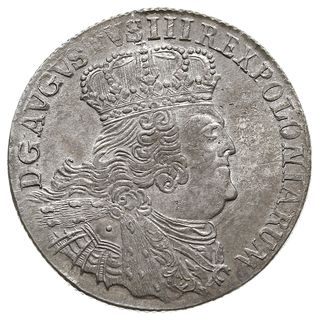 ort 1755, Lipsk, Kahnt 688 var. d - masywne popiersie króla w szerokiej koronie, mniejsze cyfry daty, piękny