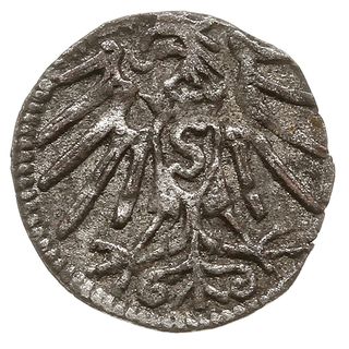 denar, bez daty, Królewiec,  Bahrf. 1112, Neuman