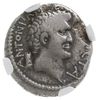 denar 34 pne, Aleksandria, Aw: Głowa Marka Antoniusza w prawo, armeńska tiara po lewej, ANTONI ARM..