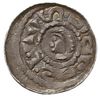 denar książęcy z lat 1070-1076, Aw: Głowa w lewo