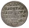 trojak 1539, Gdańsk, na rewersie trójlistki, Iger G.39.1.c (R1), CNG 71.III.b, lekko niedobity