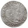 grosz na stopę litewską 1559, Wilno, końcówki na