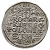 trojak 1595, Wschowa, Iger W.95.4.c (R), moneta z końca blaszki, z pięknym blaskiem menniczym, rza..