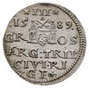 trojak 1589, Ryga, znak mincerski z prawej stron