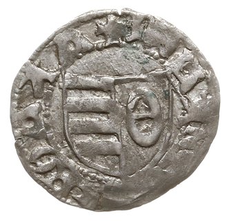 dinar (półgrosz); Aw: Tarcza herbowa, w lewym po