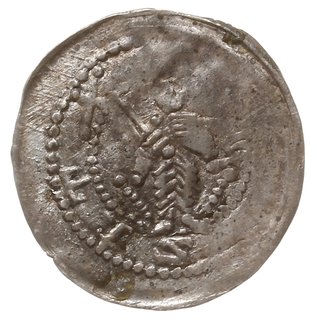 denar z lat 1253-1257, Poznań