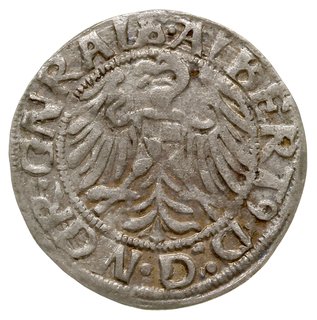 grosz 1519; Aw: Orzeł brandenburski z tarczą Hoh