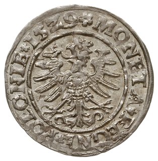 grosz 1529, Kraków, herb Odrowąż pomiędzy rozetkami