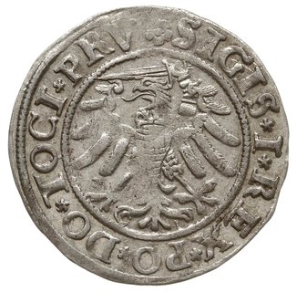 grosz 1533, Elbląg, na awersie końcówka napisu .