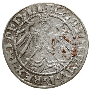 grosz na stopę litewską 1536 F, Wilno, odmiana z litera F pod Pogonią, ogon Orła rozłożysty”