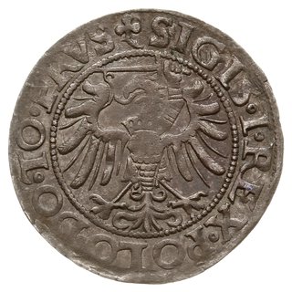 grosz 1539, Elbląg, na awersie PRVS, miecz z prawej strony Orła, ogonek trójlistka skierowany w prawo,  na rewersie gwiazda po dacie