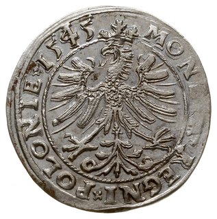 grosz 1545, Kraków, odmiana z napisem w 3 wierszach, wąska korona, dwa trójlistki pod POLONIE