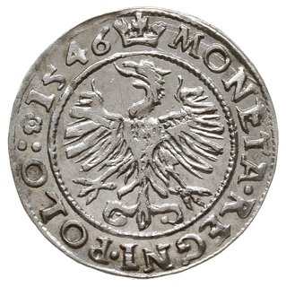 grosz 1546, Kraków, odmiana z napisem w 3 wierszach, duża korona, herb Leliwa i litery S-T