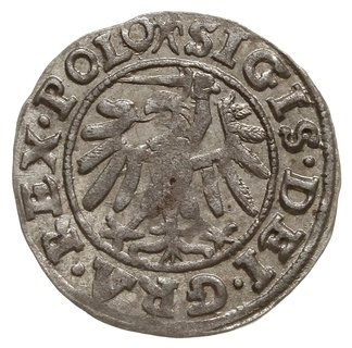 szeląg 1539, Gdańsk, hak na awersie / rozetka na rewersie