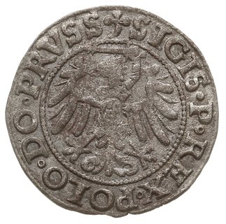 szeląg 1539, Elbląg, końcówki napisów PRVSS/ELBING