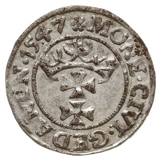 szeląg 1547, Gdańsk, gwiazdka na awersie, końcówka napisu POLO, rozetka na rewersie