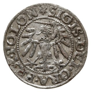 szeląg 1547, Gdańsk, gwiazdka na awersie, końców
