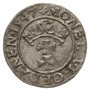 szeląg 1547, Gdańsk, gwiazdka na awersie, końcówka napisu POLON, rozetka na rewersie