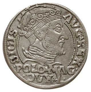 grosz na stopę polską 1548, Wilno