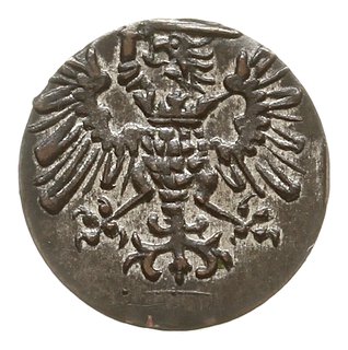 denar 1573, Gdańsk, kartusz tarczy herbowej z 12 łukami