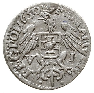 szóstak 1650, Wschowa, z herbem Wieniawa pod popiersiem i herbem Wazów (Snopek) na piersi Orła