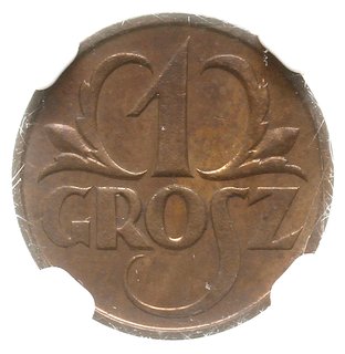 1 grosz 1925, Warszawa; Parchimowicz 101b; wyśmi