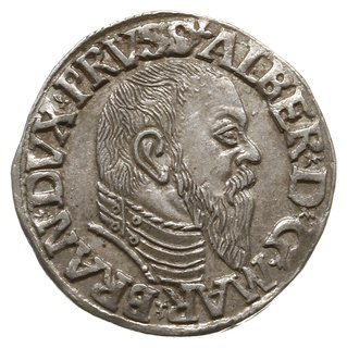 trojak 1544, Królewiec, głowa księcia z wysokim kołnierzem