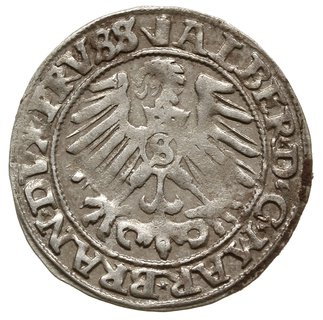 grosz 1558, Królewiec; Slg. Marienburg 1222, Vos