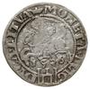 grosz na stopę litewską 1536 F, Wilno, odmiana z