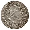 grosz 1558, Królewiec; Slg. Marienburg 1222, Voss. 1411; rzadki rocznik i ładnie zachowany