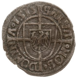 grosz 1515, Królewiec; ALBERTVS D G MGR GENRALIS