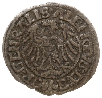 grosz 1515, Królewiec