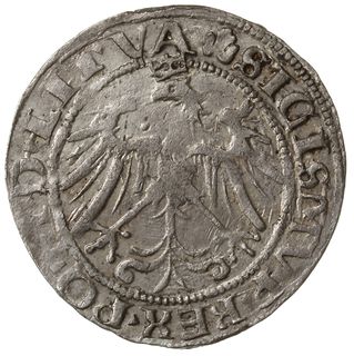 grosz na stopę litewską 1536, Wilno; odmiana z l