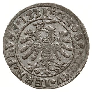 grosz 1531, Toruń; na rękawie króla ozdobniki w 
