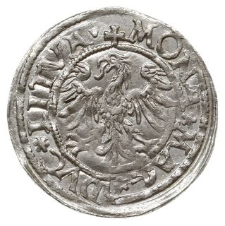 półgrosz 1545, Wilno; na rewersie napis MONE MAG