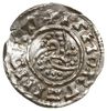 denar 1018-1035, Roskilde; Aw: Trójlistna spleci