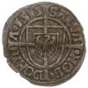 grosz 1515, Królewiec; ALBERTVS D G MGR GENRALIS / SALVA NOS DOMIN A1515; Neumann 35, Voss. 1164-1..