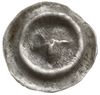 brakteat XIII/XIV w.; Nieregularna gwiazda pięcioramienna, przypominająca łeb barana ze skarbu w P..