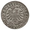 grosz 1531, Toruń; na rękawie króla ozdobniki w formie kółek, końcówki napisu PRVS/PRVSS, miecz tr..