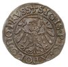 szeląg 1539, Elbląg; końcówki napisów PRVSS/ELBING; CNCE 145 (R1), Kop. 7079, Slg. Marienburg 9287..